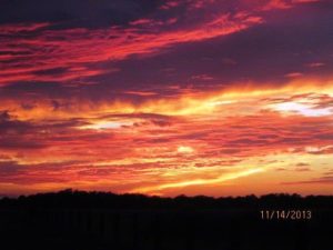 Barndo Sunset